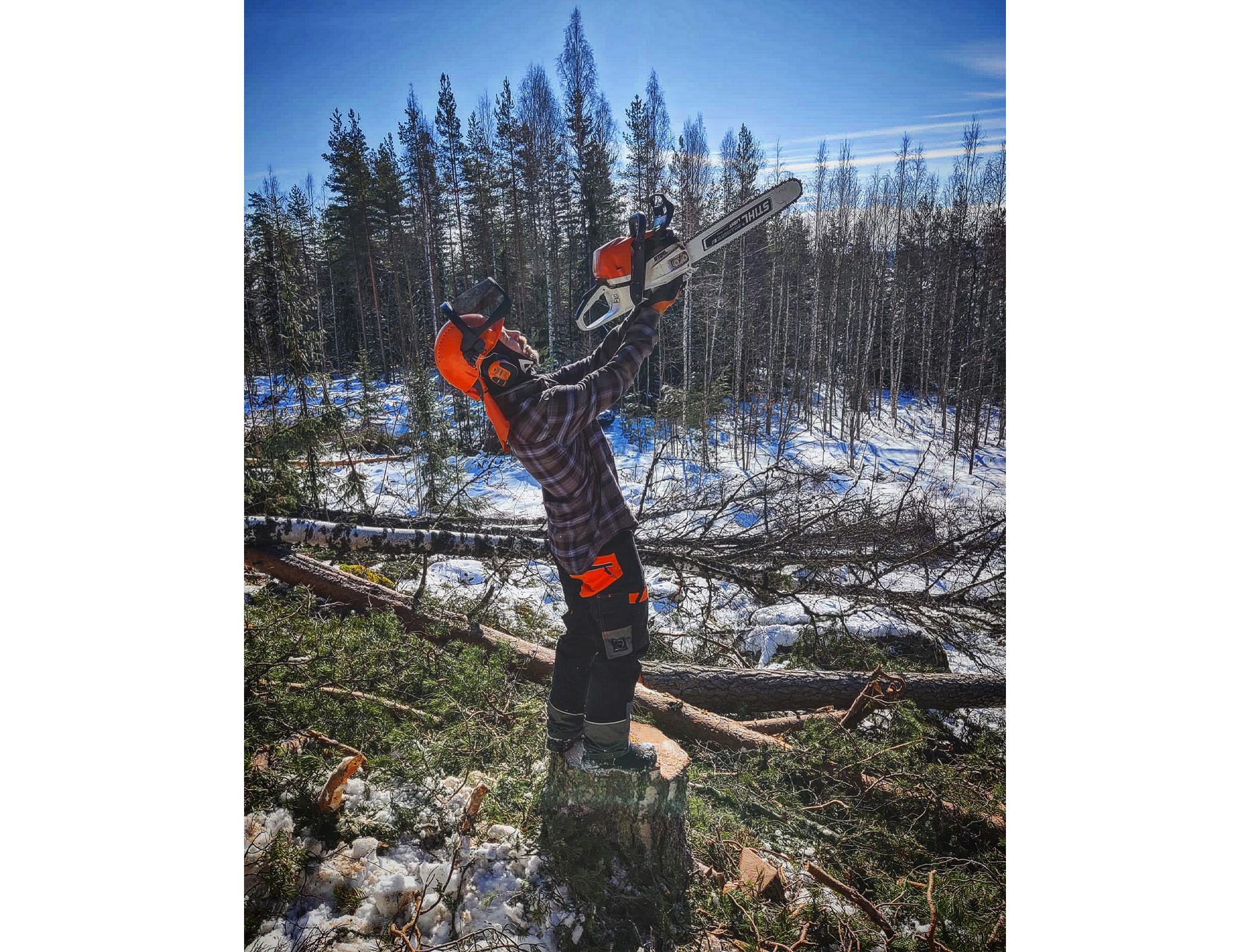 Metsätyöt Tonteri